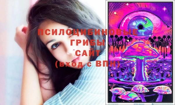 ПСИЛОЦИБИНОВЫЕ ГРИБЫ Богданович